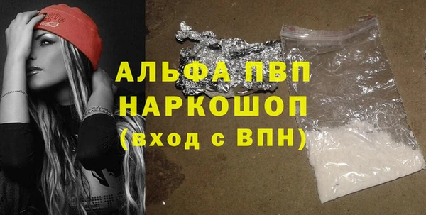 прущие грибы Верея