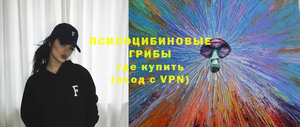 прущие грибы Верея